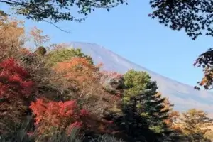 秋の紅葉と富士山