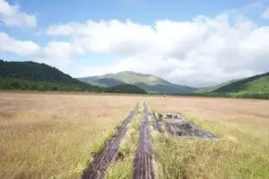 Home 尾瀬ヶ原の湿地